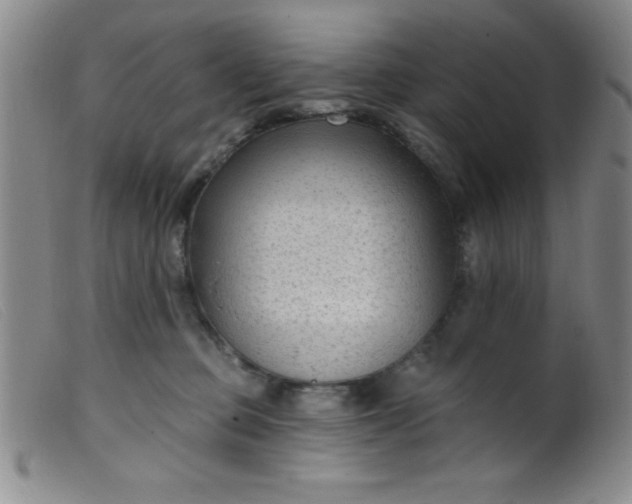 X0000099480373200805231901