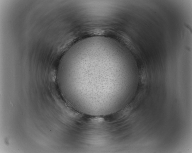 X0000099480374200805231901