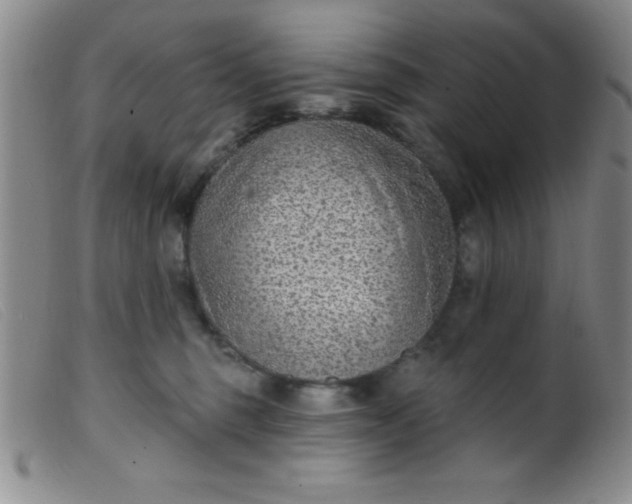 X0000099480375200805231901