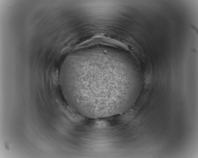 X0000099480376200805231901