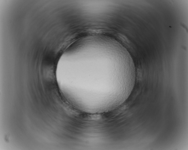 X0000099480377200805231901