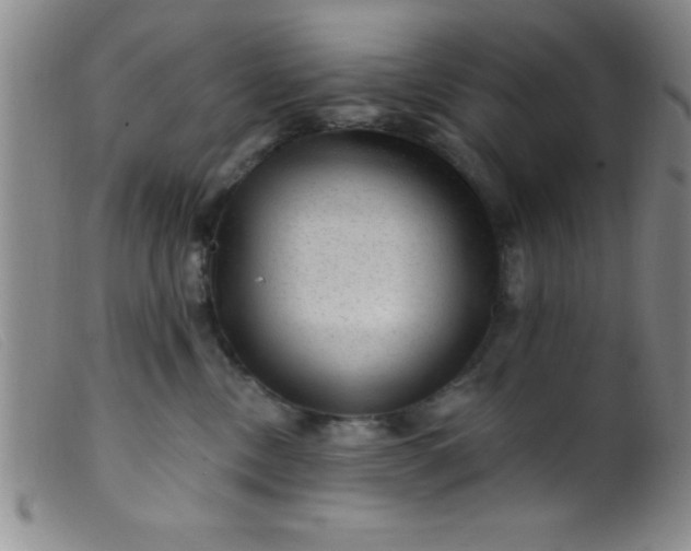 X0000099480378200805231901