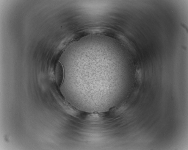 X0000099480381200805231901