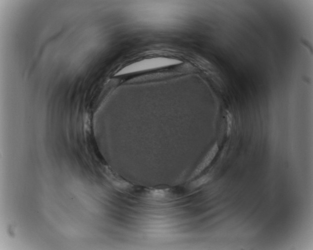 X0000099480382200805231901