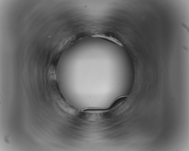 X0000099480384200805231901