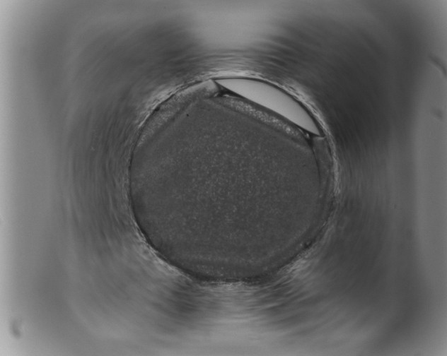 X0000099480385200805231900