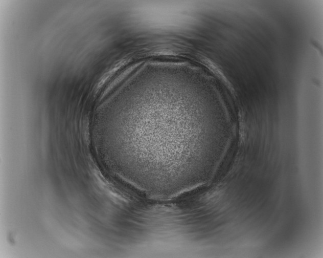 X0000099480386200805231900