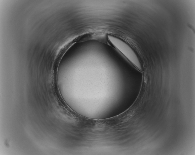 X0000099480388200805231900