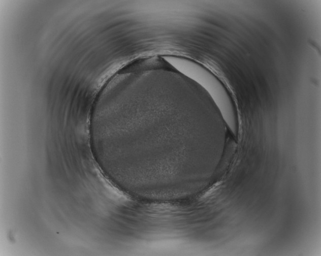 X0000099480389200805231900