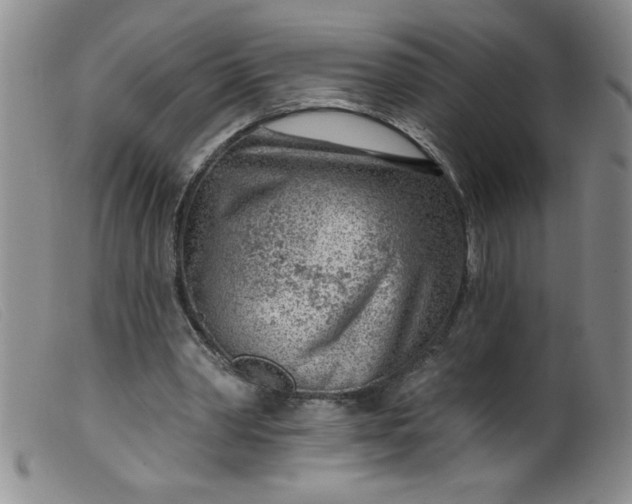 X0000099480390200805231900