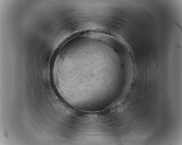 X0000099480391200805231900