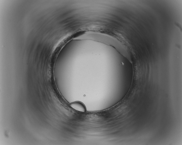 X0000099480392200805231900