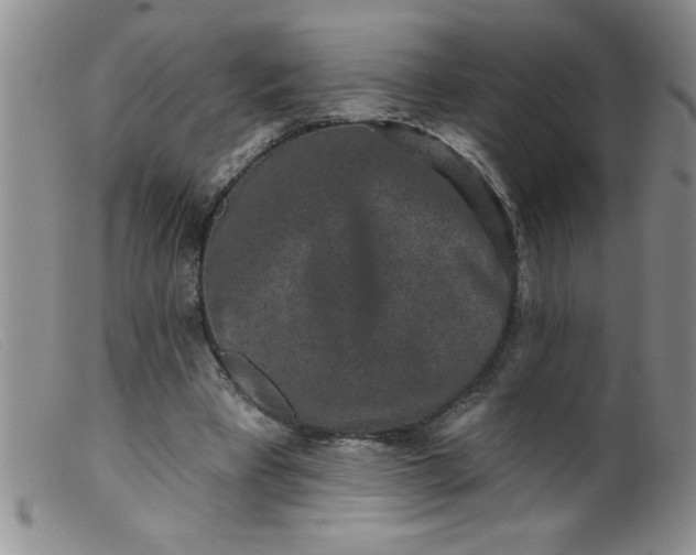 X0000099480393200805231900