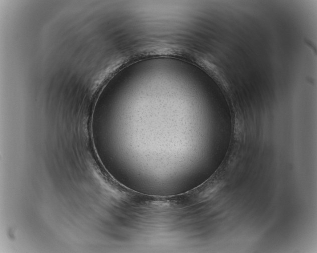 X0000099480394200805231900