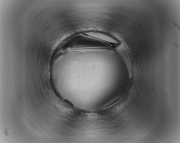 X0000099480395200805231900