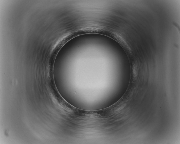 X0000099480396200805231900