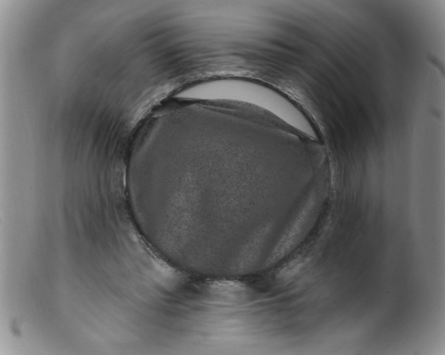 X0000099480397200805231900