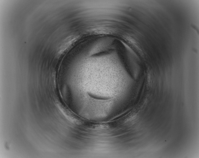 X0000099480398200805231900