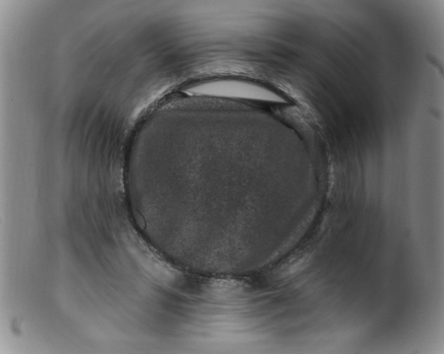 X0000099480399200805231900