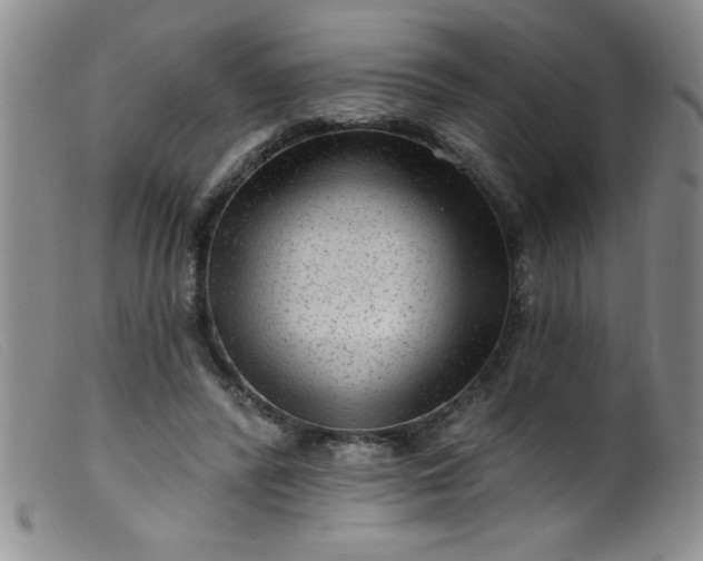 X0000099480400200805231900