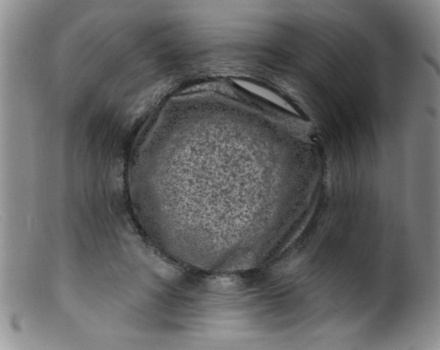 X0000099480402200805231900