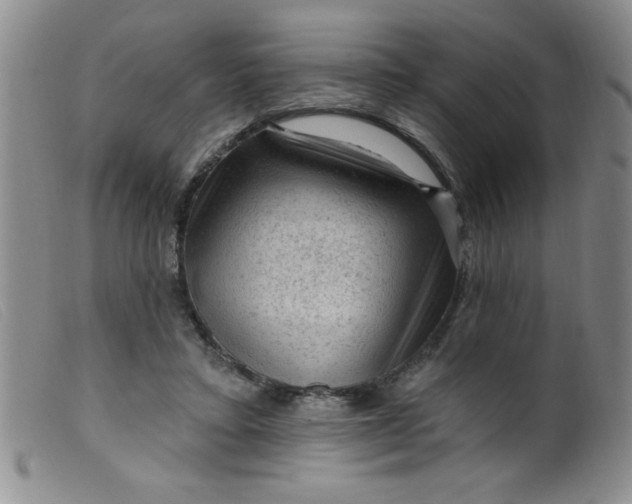 X0000099480403200805231900