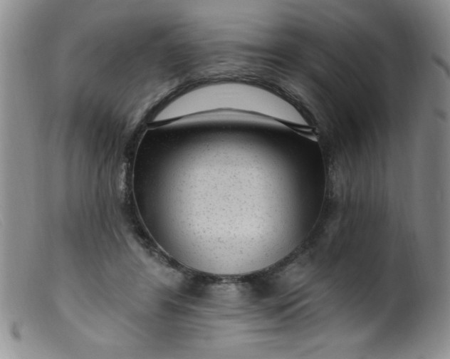 X0000099480404200805231900