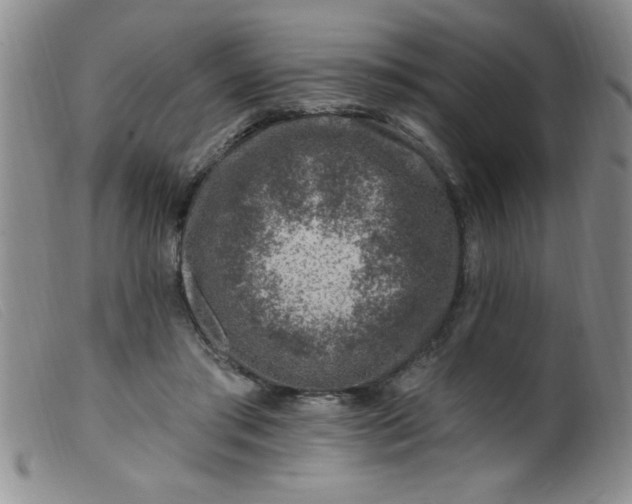 X0000099480405200805231900