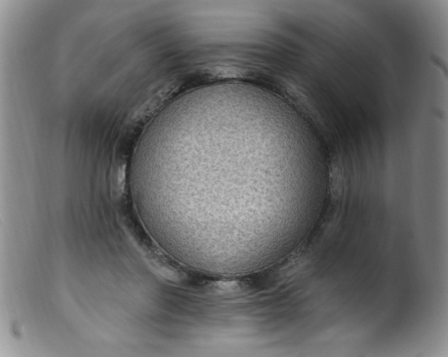 X0000099480406200805231900
