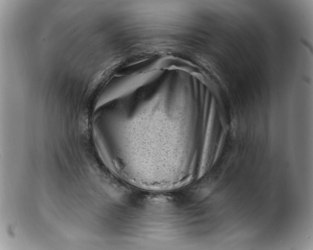 X0000099480407200805231900