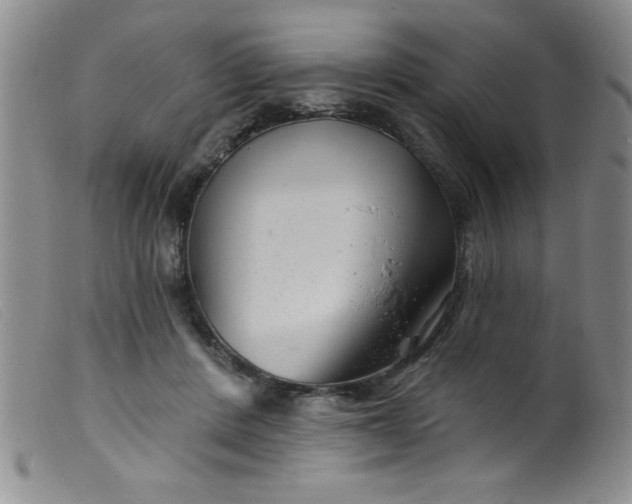 X0000099480408200805231900