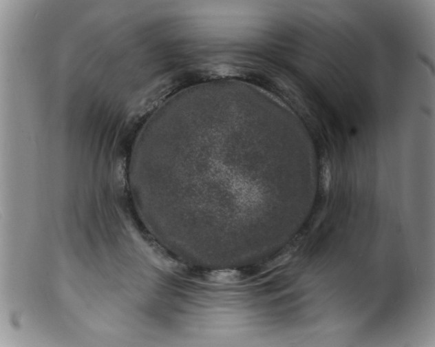 X0000099480410200805231900