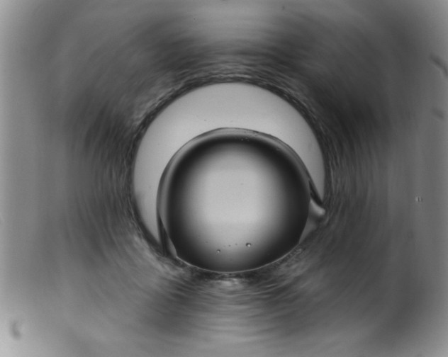 X0000099480411200805231900