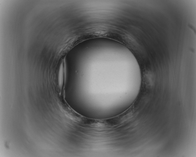 X0000099480412200805231900