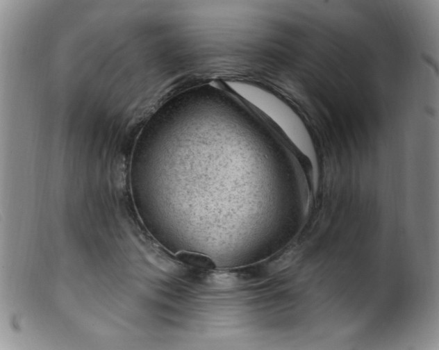 X0000099480413200805231900