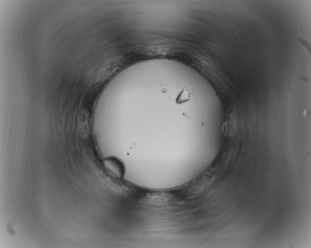 X0000099480414200805231900