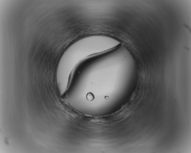 X0000099480415200805231900