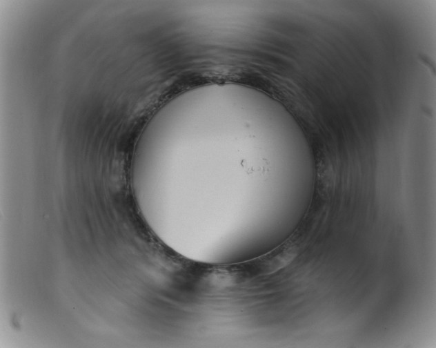 X0000099480416200805231900