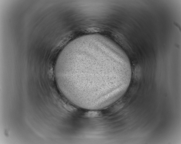 X0000099480418200805231900