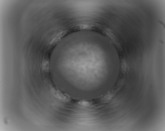 X0000099480419200805231900