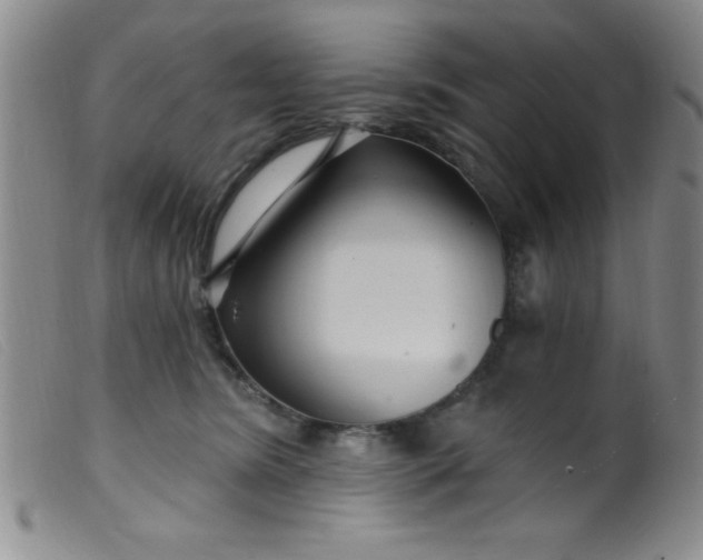 X0000099480420200805231900