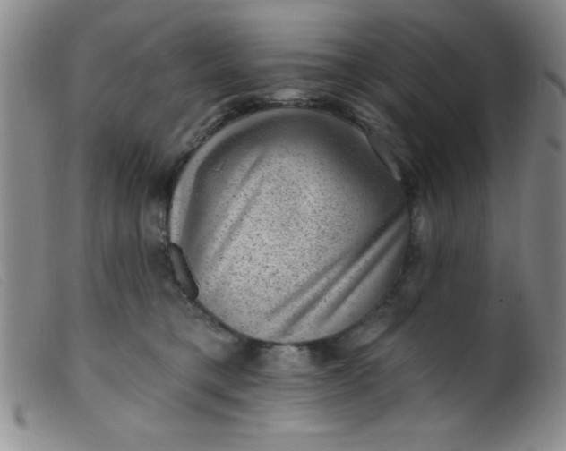 X0000099480421200805231900