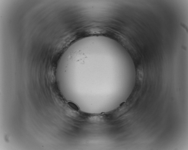 X0000099480422200805231900