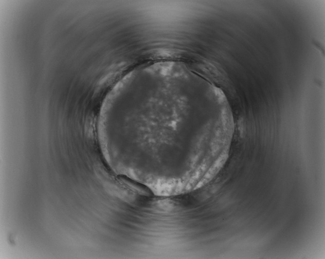 X0000099480423200805231900