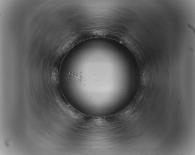 X0000099480424200805231900