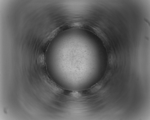 X0000099480425200805231900