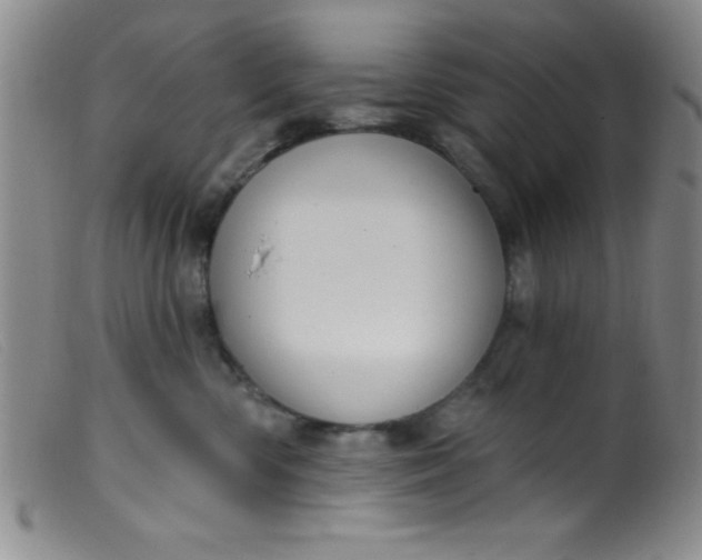 X0000099480426200805231900