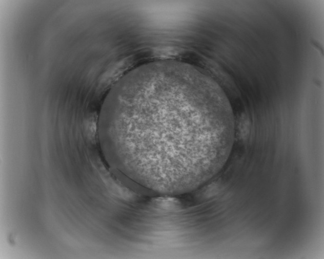 X0000099480427200805231900