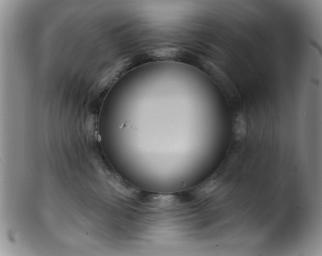 X0000099480428200805231900