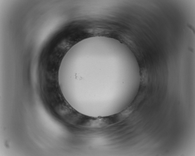 X0000099480430200805231900